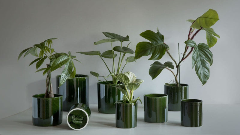 Bergs Potter | Romeo Cachepot