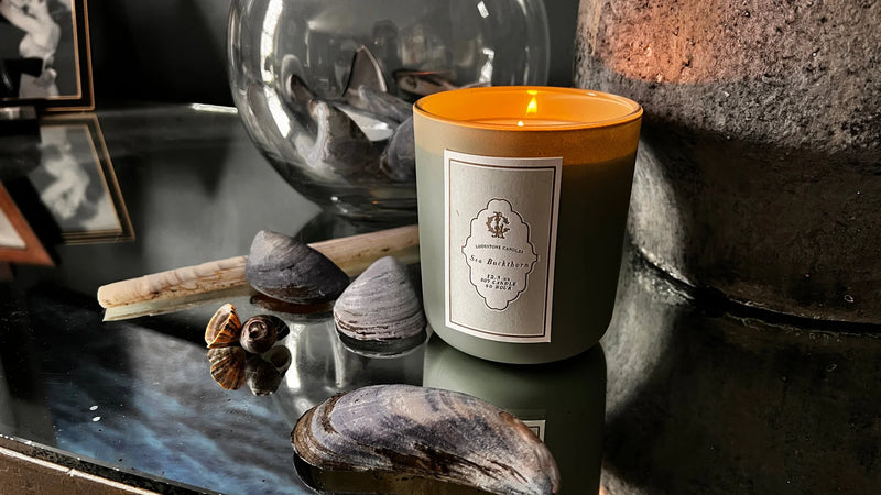 Lodestone Candles | Sea Buckthorn Candle on a table with shells, embodying coastal serenity with oceanic and floral notes, part of The Botanist Collection.