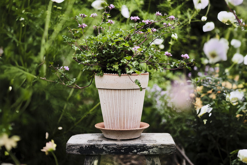 Bergs Potter | Helena Rosa