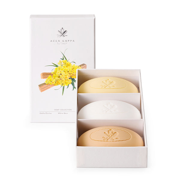 Chilewich | Mini Basketweave Rectangle Placemats - Ivy