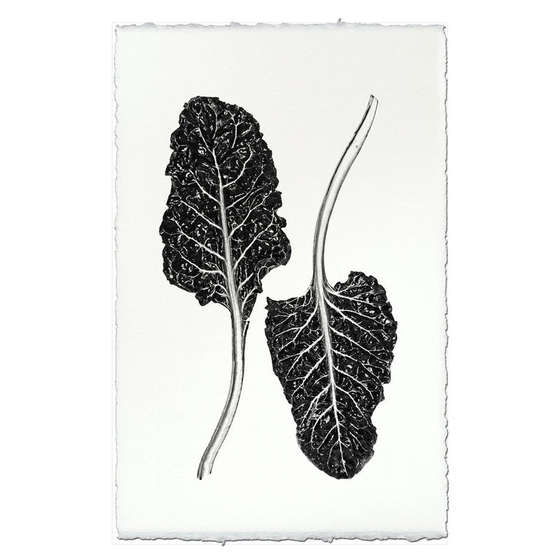 Barloga Studios | Swiss Chard on Nepalese Hand-Made Paper, 9x14 inches