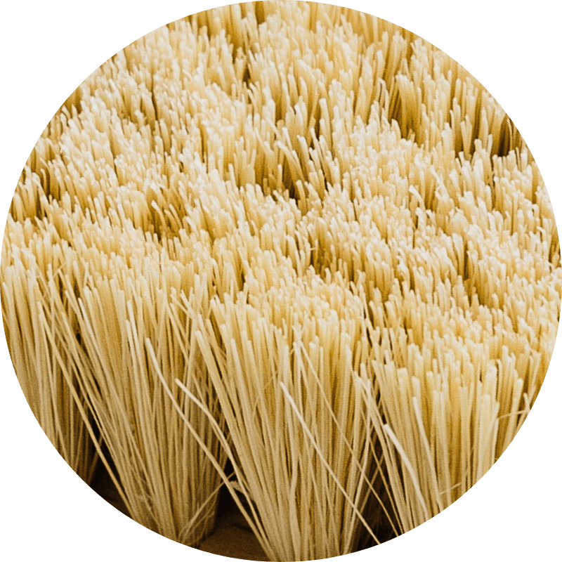 Andrée Jardin | Hard and Soft Fibres Vegetable Brush