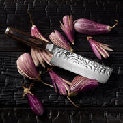 Shun Premier Nakiri Walnut, 5.5 with a hammered finish, rests on a charred wood surface surrounded by small, striped eggplants, showcasing its vegetable slicing capability.