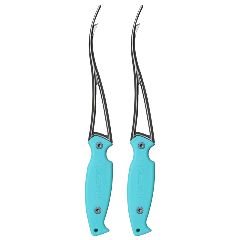 Toadfish | Shrimp Cleaner