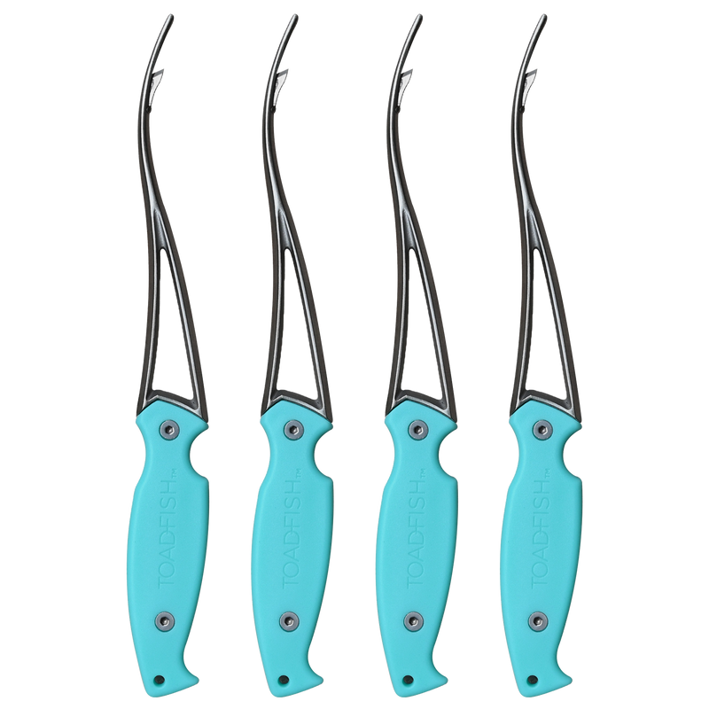 Toadfish | Shrimp Cleaner