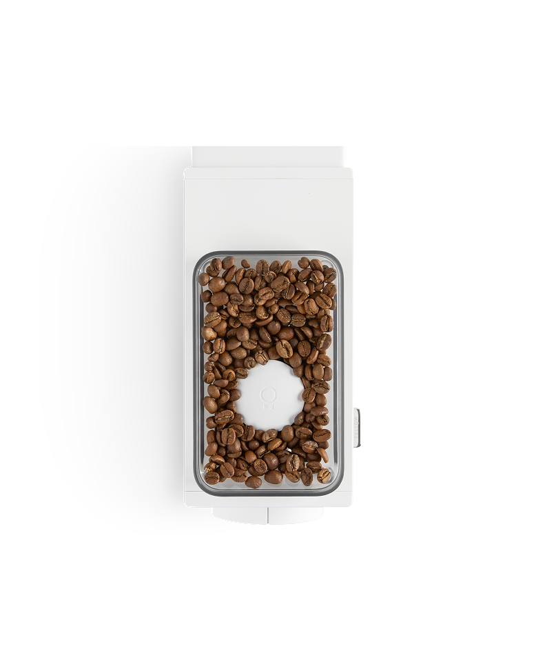 Top-down view of the FELLOW | Ode Brew Grinder Gen 2 in matte white, showcasing its hopper filled with medium-roast coffee beans, highlighting its precision grinding capabilities.