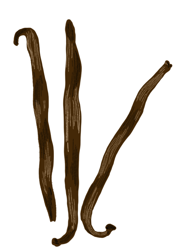 Diaspora Co. Spices | Kaveri Vanilla Whole Pods