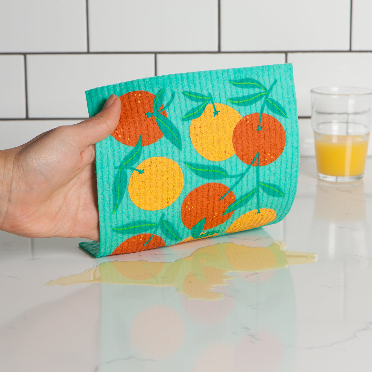 Ecologie Dishcloth