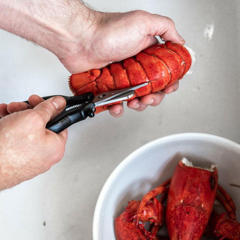 de Buyer | Seafood Shears.