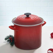 Le Creuset | Enamel on Steel Stockpot.