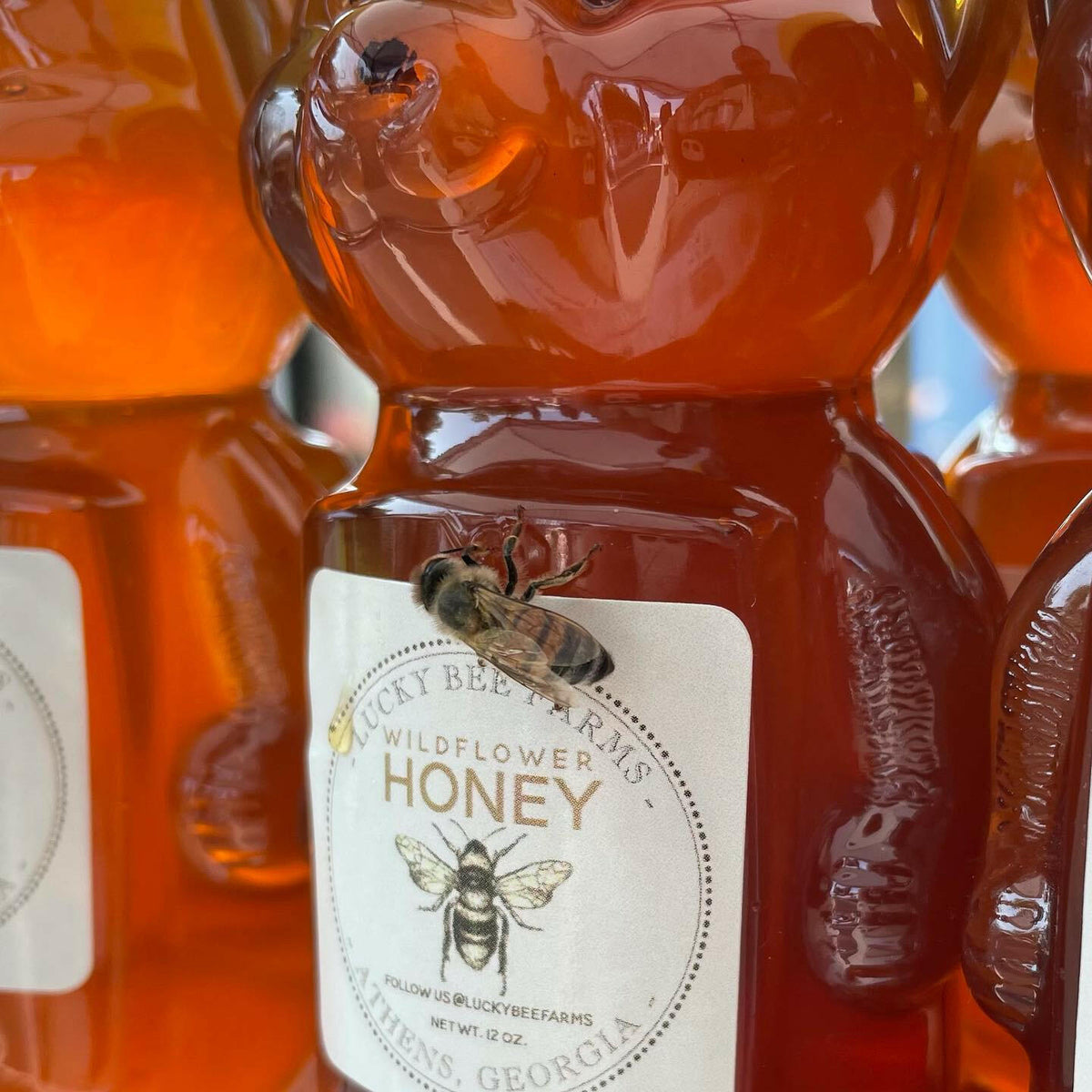 Lucky Bee Farms Honey | Athens, GA - Honey Squeeze Bear — Athens Cooks