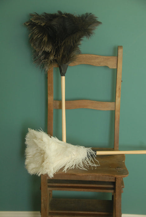Earth & Nest | Feather Duster