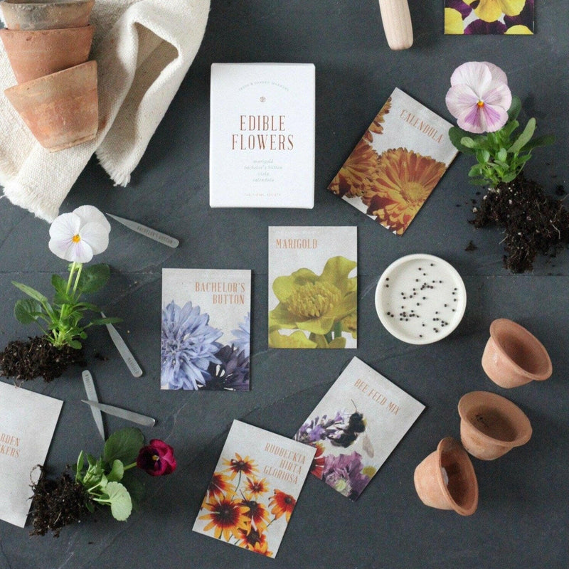 The Floral Society | Individual Seeds - Forget-Me-Not Blue packet, featuring a mix of non-GMO flower seeds for vibrant garden arrangements.