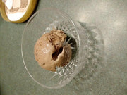 Zeroll | Ice Cream Scoops - 3 oz Scoop - Aluminum, designed for effortless scooping, featuring a heat-conductive handle for smooth molding of ice cream.