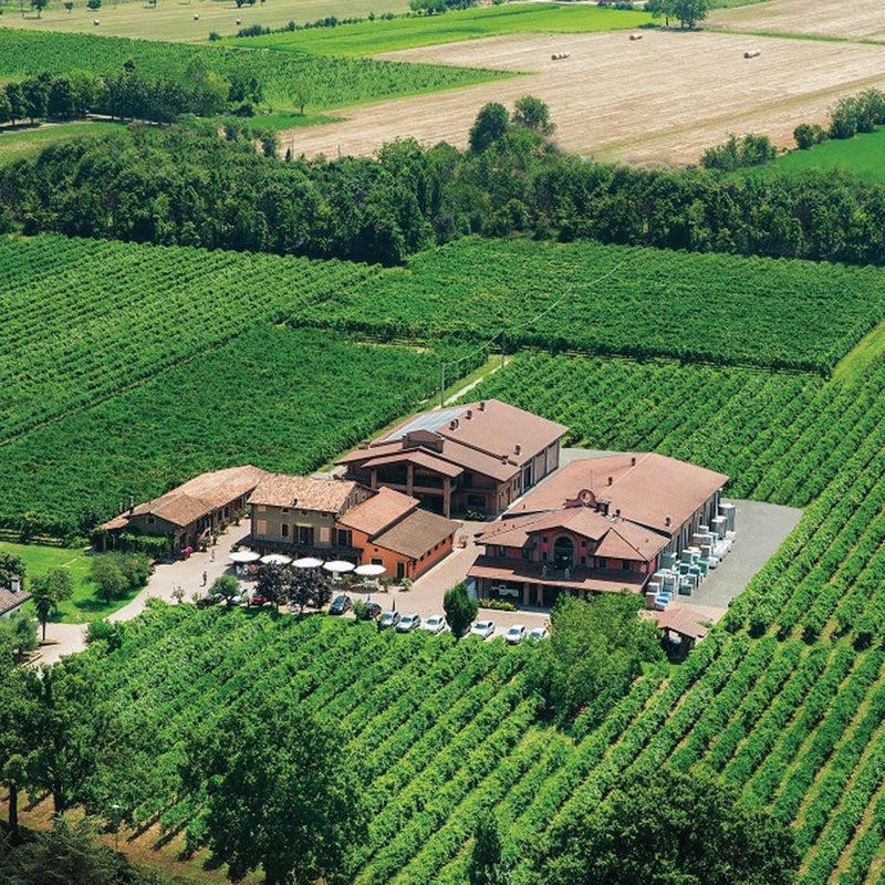 Reale | Balsamic Riserva 16 Year.