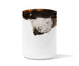 St Bernard Snout Mug: 11 oz.