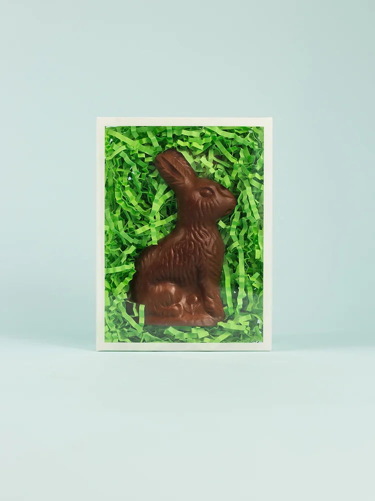 Condor | Chocolate Bunny.