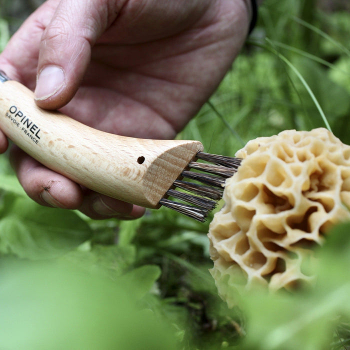 Opinel | N°8 Mushroom Knife + Brush