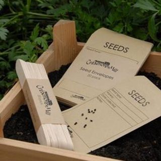 Earth & Nest | Seed Envelopes